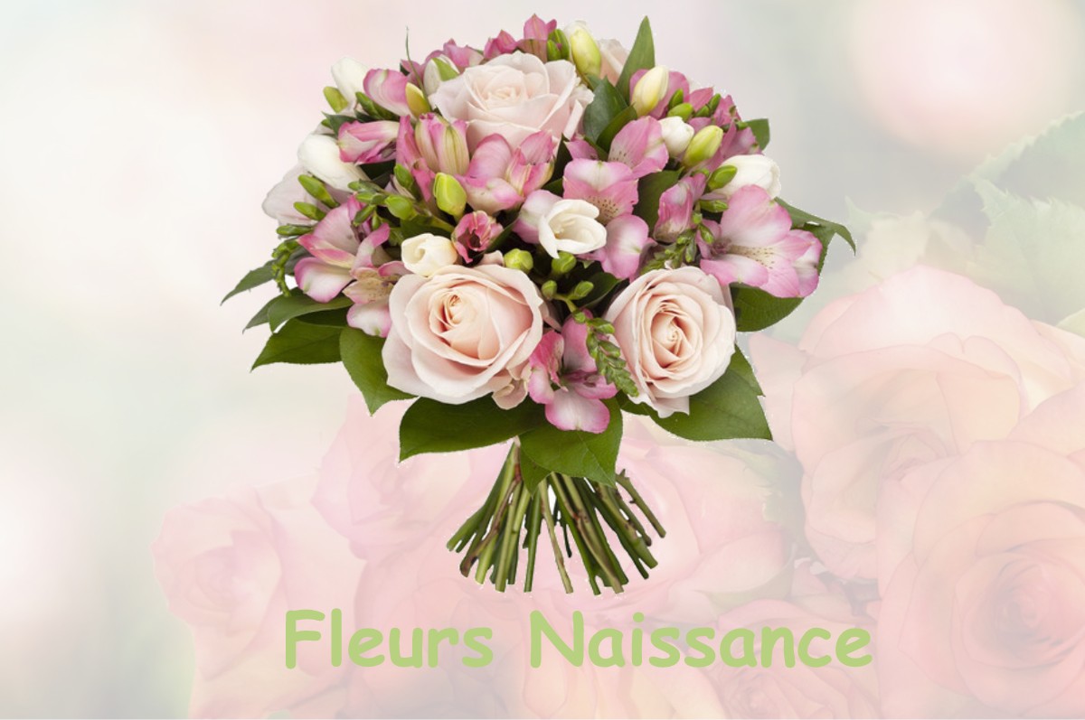 fleurs naissance COULANGES-LA-VINEUSE